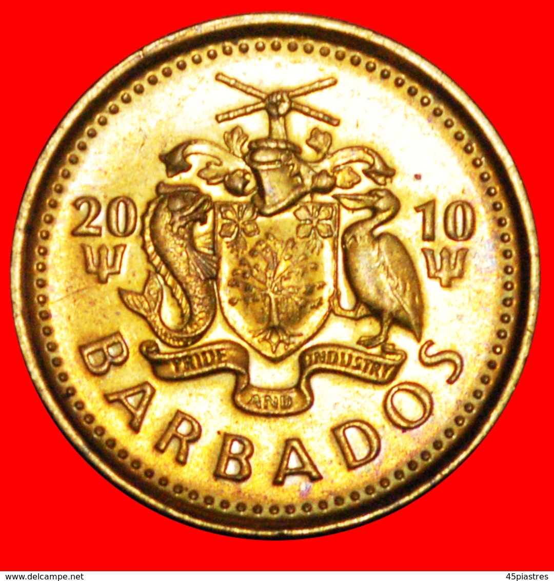 + GREAT BRITAIN (2007-2018): BARBADOS ★ 5 CENTS 2010 MINT LUSTER! LOW START ★ NO RESERVE! - Barbados