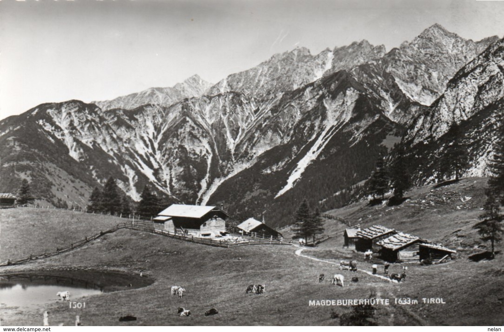 MAGDEBURGERHUTTE-TIROL,-REAL PHOTO- NON VIAGGIATA - Pertisau