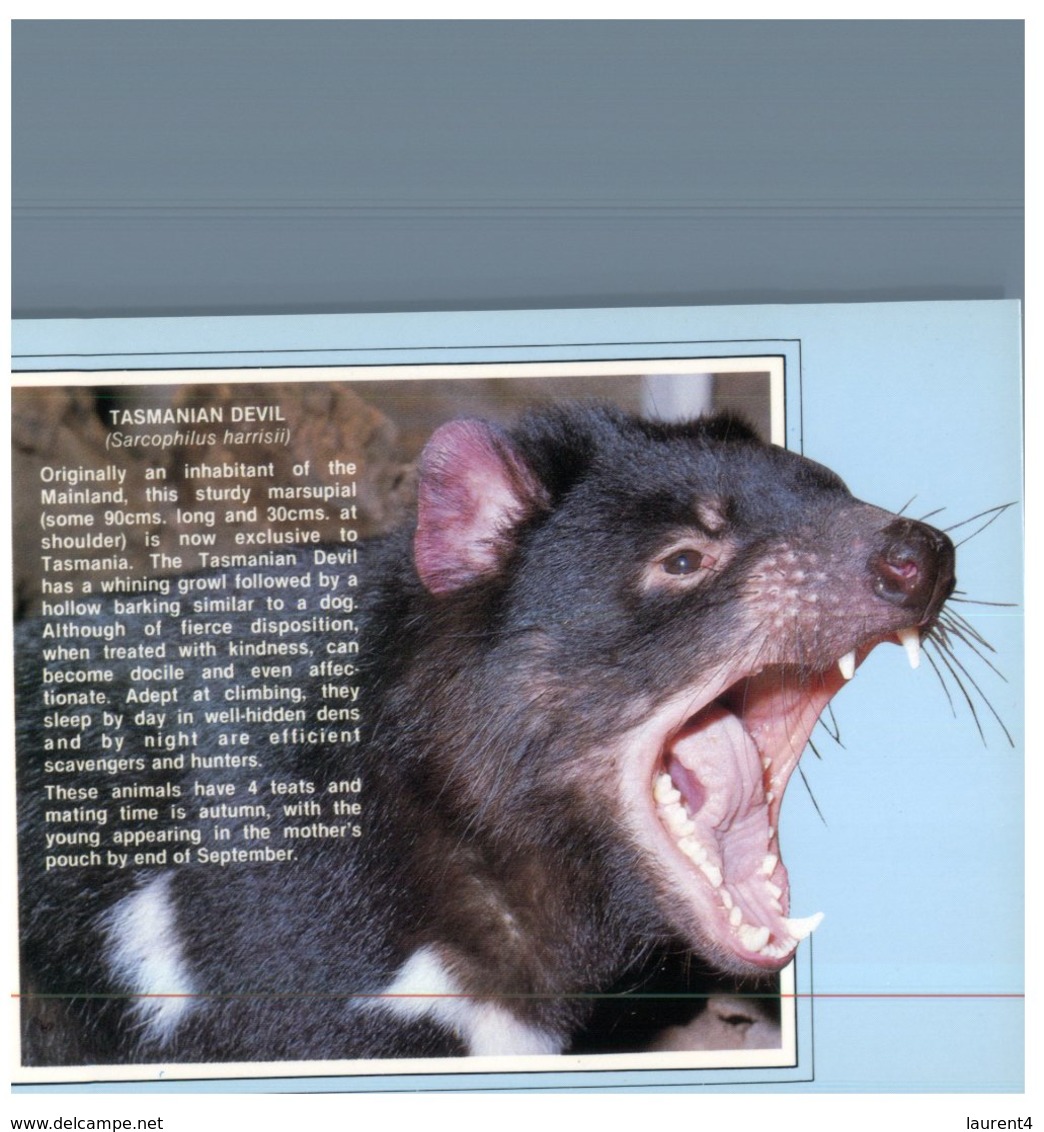 (1116) Australia - Tasmanian Devil (2 Cards) Endengered - Tigres