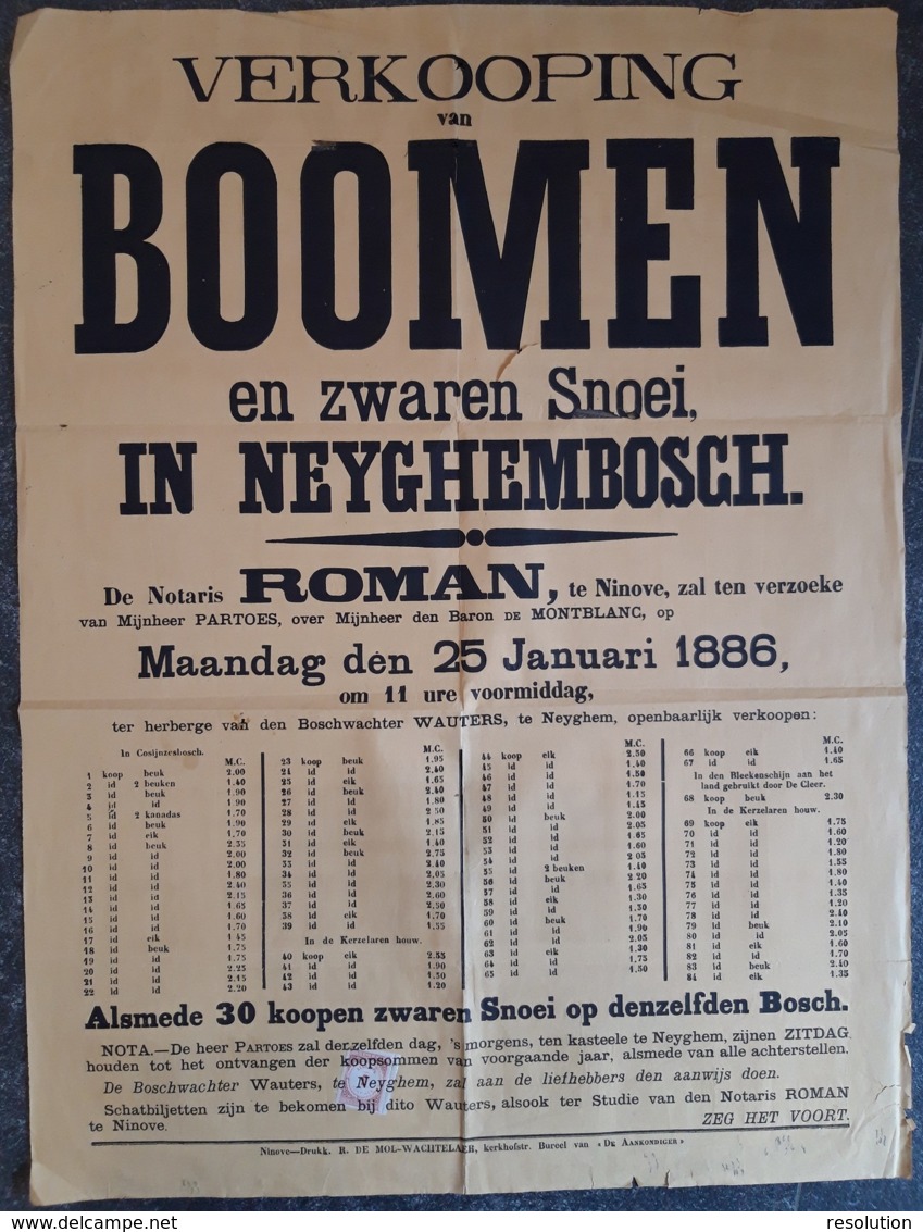 Affiche - Verkooping Van Boomen En Zware Snoei Op Neyghembosch - 25 Januari 1886 (Vente D'arbres à  Neygembosch) - Affiches