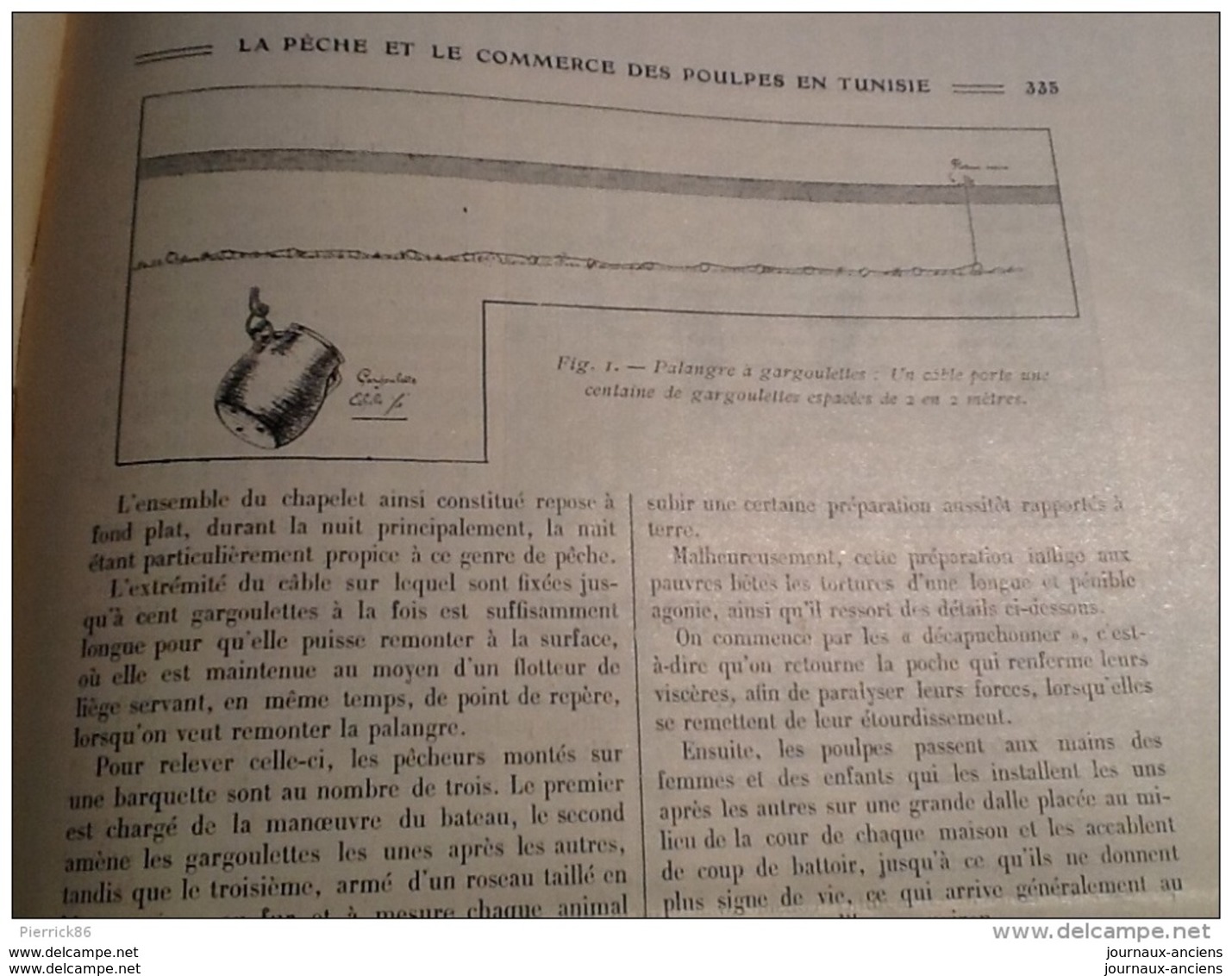 1922 POISSONS VOLANTS - POSTES ET TÉLÉGRAPHES - PÊCHE ET COMMERCE DES POULPES EN TUNISIE