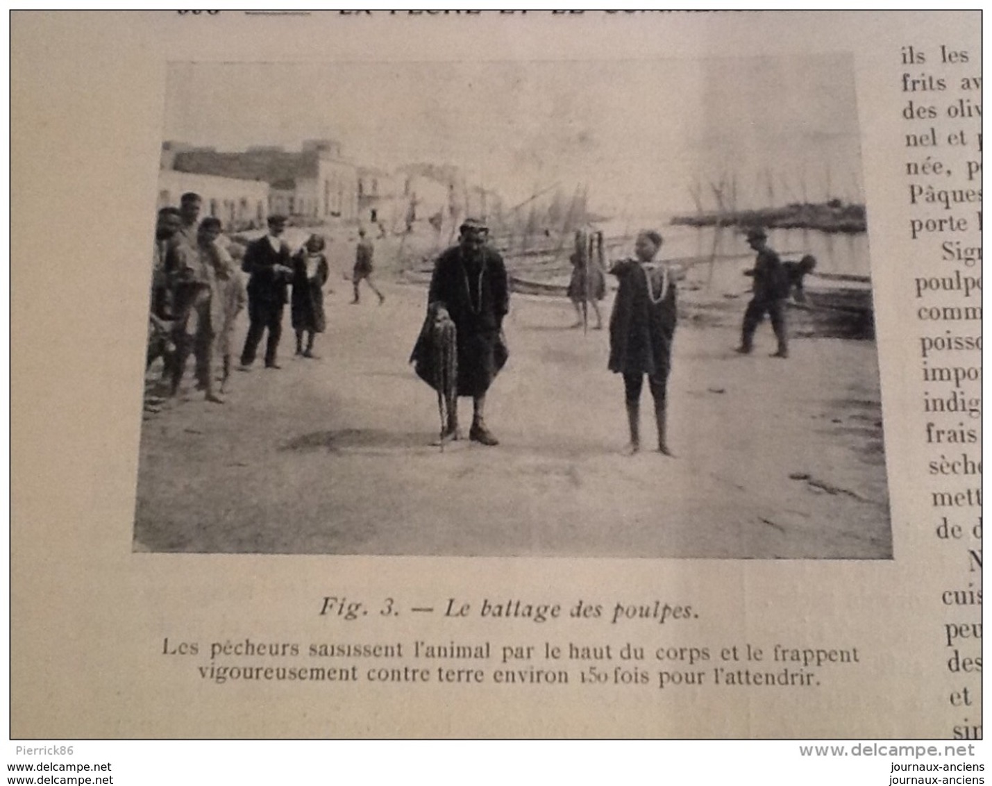 1922 POISSONS VOLANTS - POSTES ET TÉLÉGRAPHES - PÊCHE ET COMMERCE DES POULPES EN TUNISIE