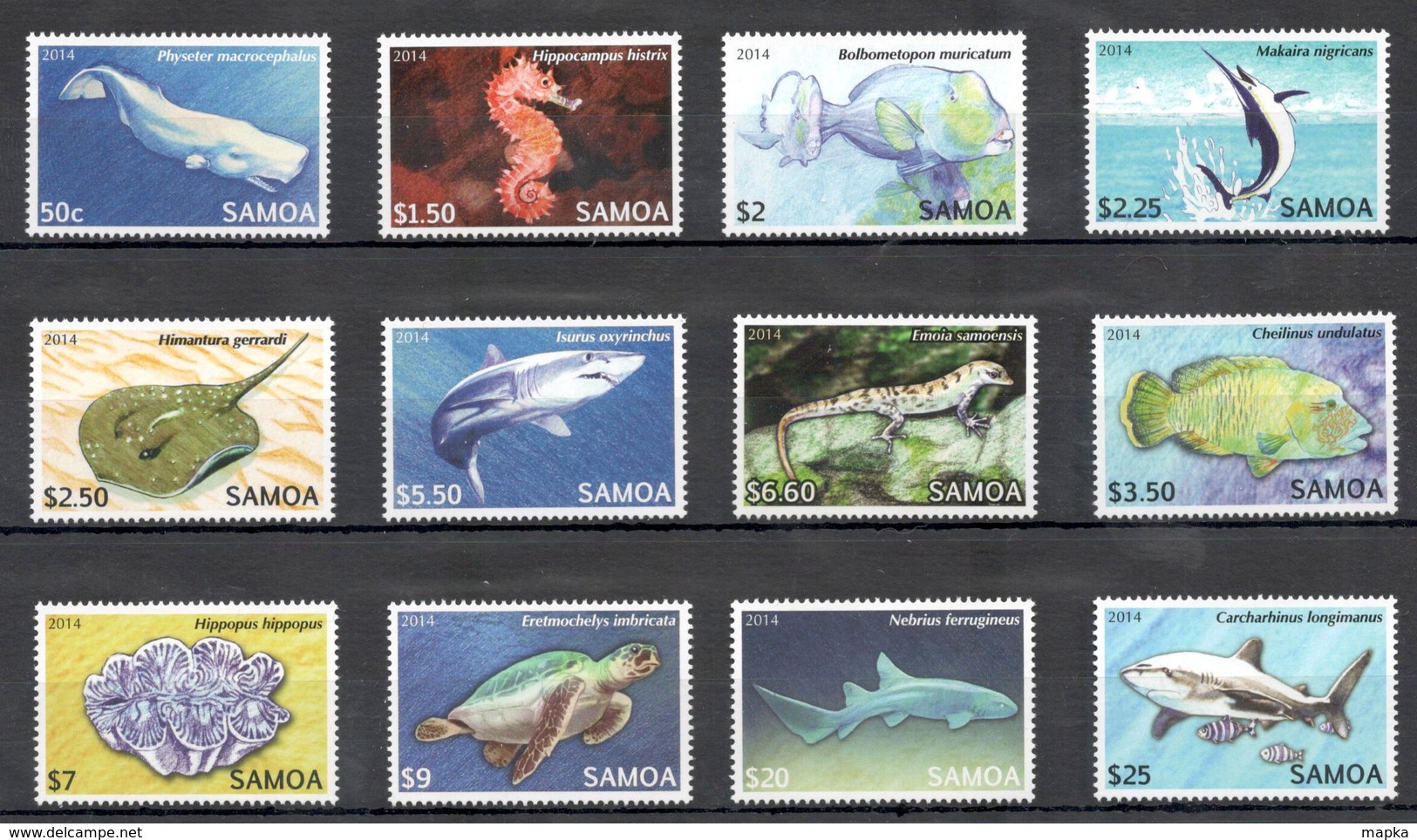 CC887 2014 SAMOA FAUNA FISH & MARINE LIFE #1144-55 MICHEL 55 EURO 1SET MNH - Vie Marine