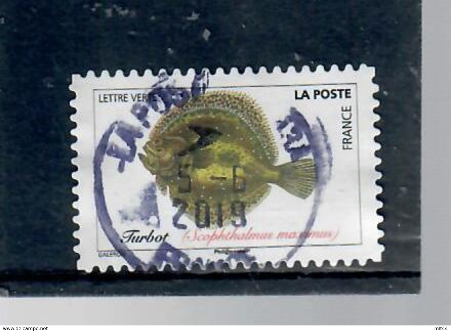 65-poissons De La Mer-turbot-cachet Rond - Used Stamps