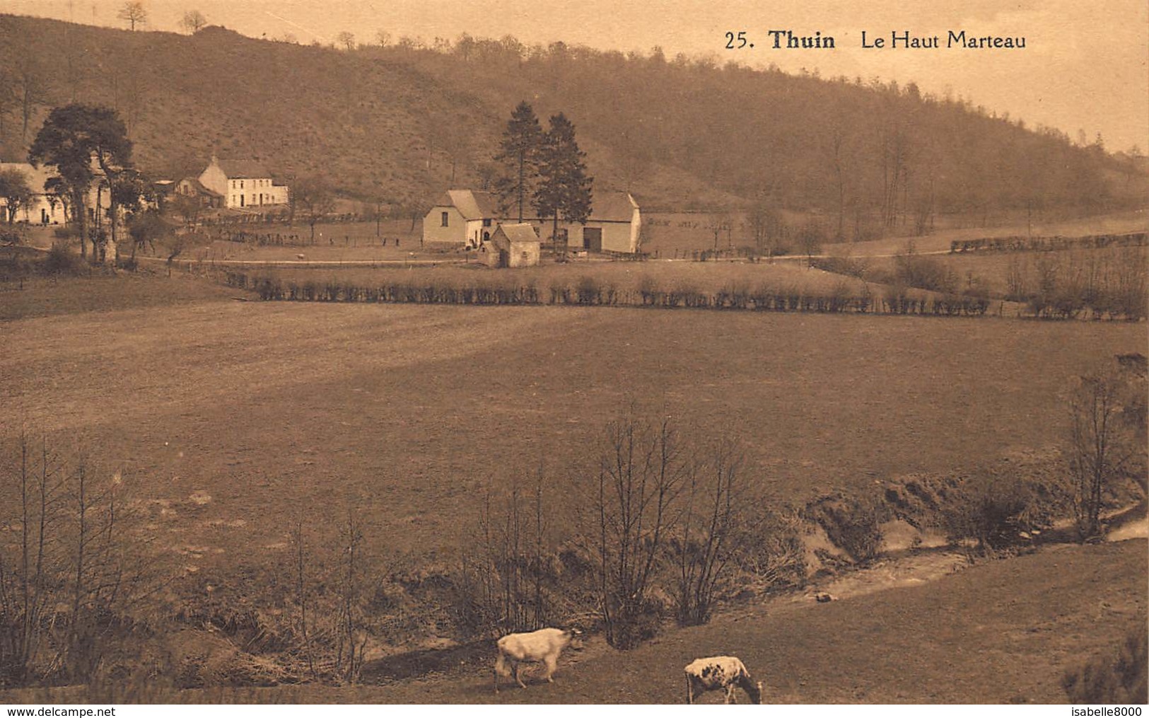 Thuin   Le Haut Marteau      Henegouwen   L 74 - Thuin