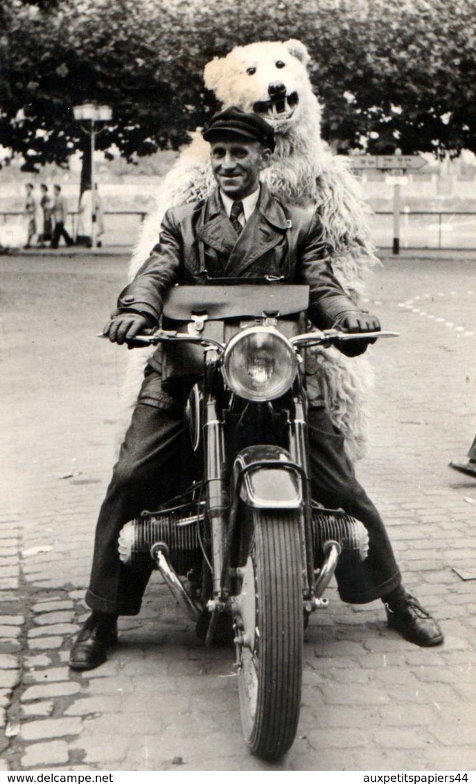 Carte Photo Originale Déguisement & Eisbär, Ours Blanc Polaire Passager à Moto à Identifier Vers 1940/50 - Anonymous Persons