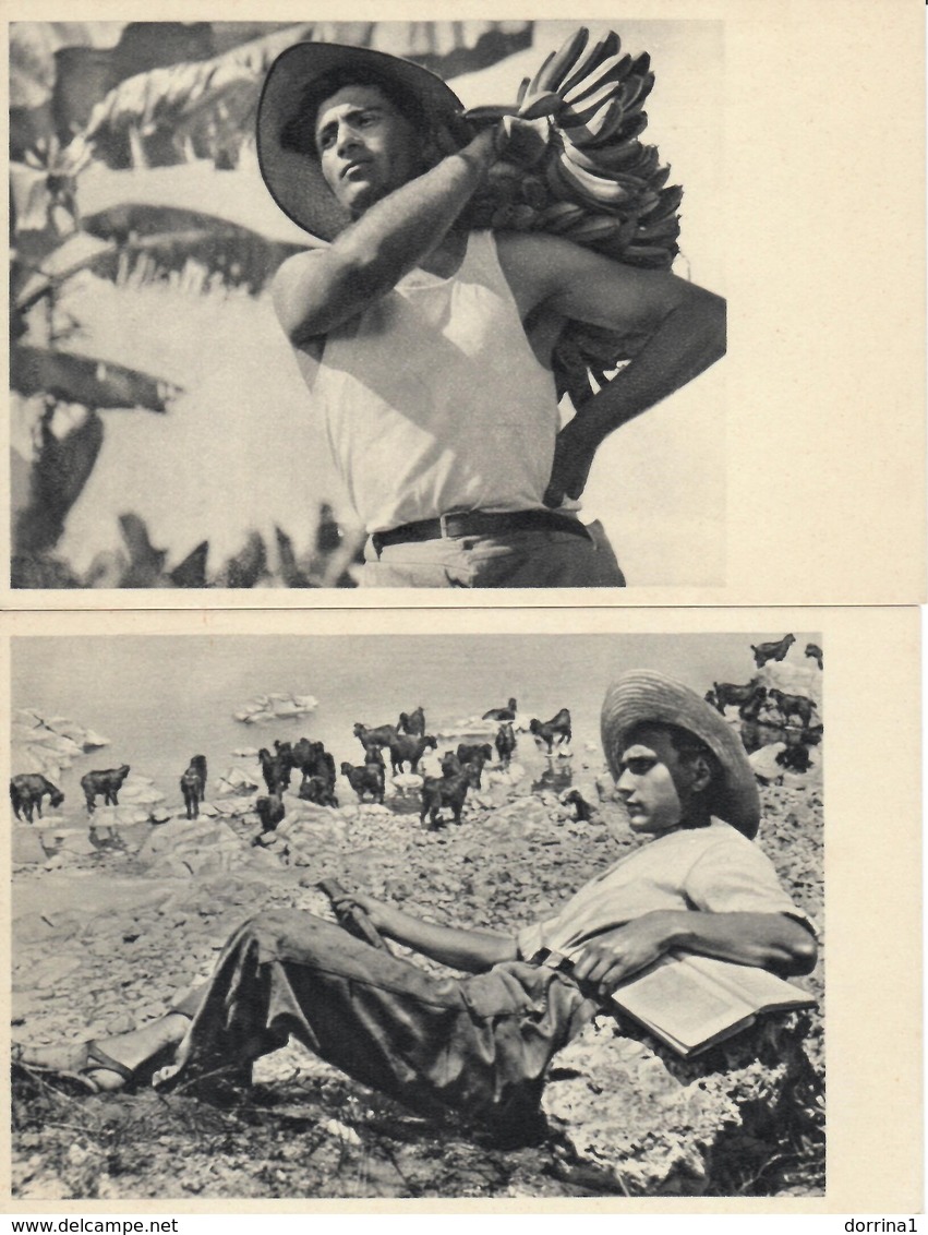 Lot 2 Postcards Photo By J. Benor-Kalter Of Pioneers In Palestine Israel - Jewish Judaica - Jewish