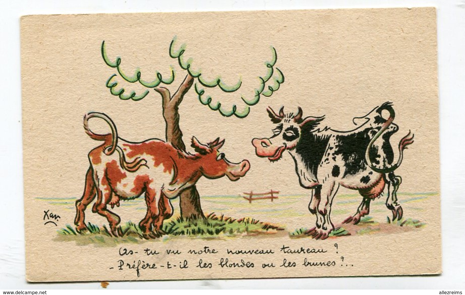CPA  Illustrateur :   XAV  Vaches Le Taureau  A  VOIR  !!!!!! - Autres & Non Classés