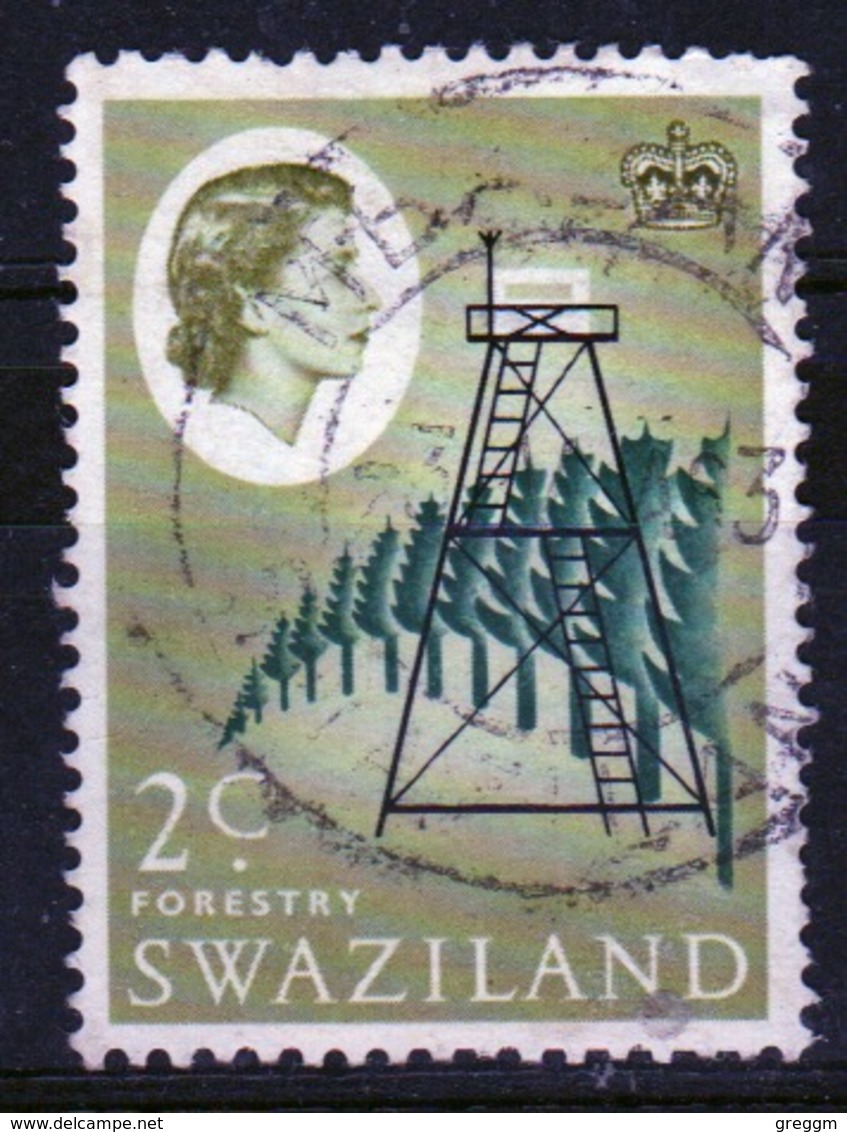 Swaziland Queen Elizabeth 1962 Single 2c Definitive Stamp. - Swaziland (...-1967)