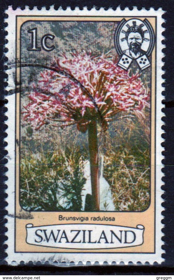 Swaziland  1980 Single 1c Flowers Stamp. - Swaziland (1968-...)