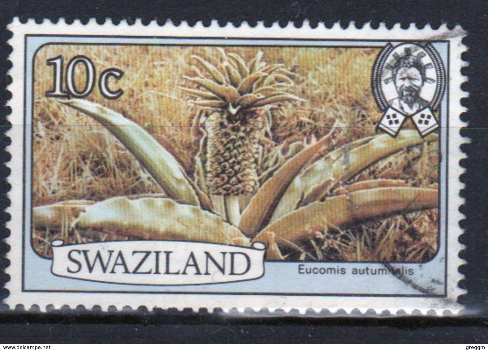 Swaziland  1980 Single 10c Flowers Stamp. - Swaziland (1968-...)