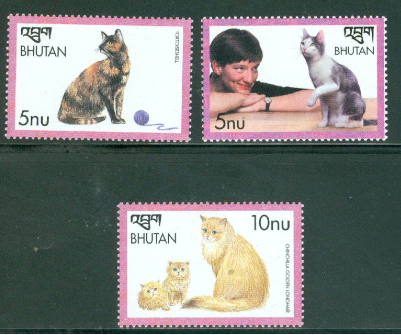 Bhutan 1250-1252 Cats, Neuf** Sans Charniere - Bhutan