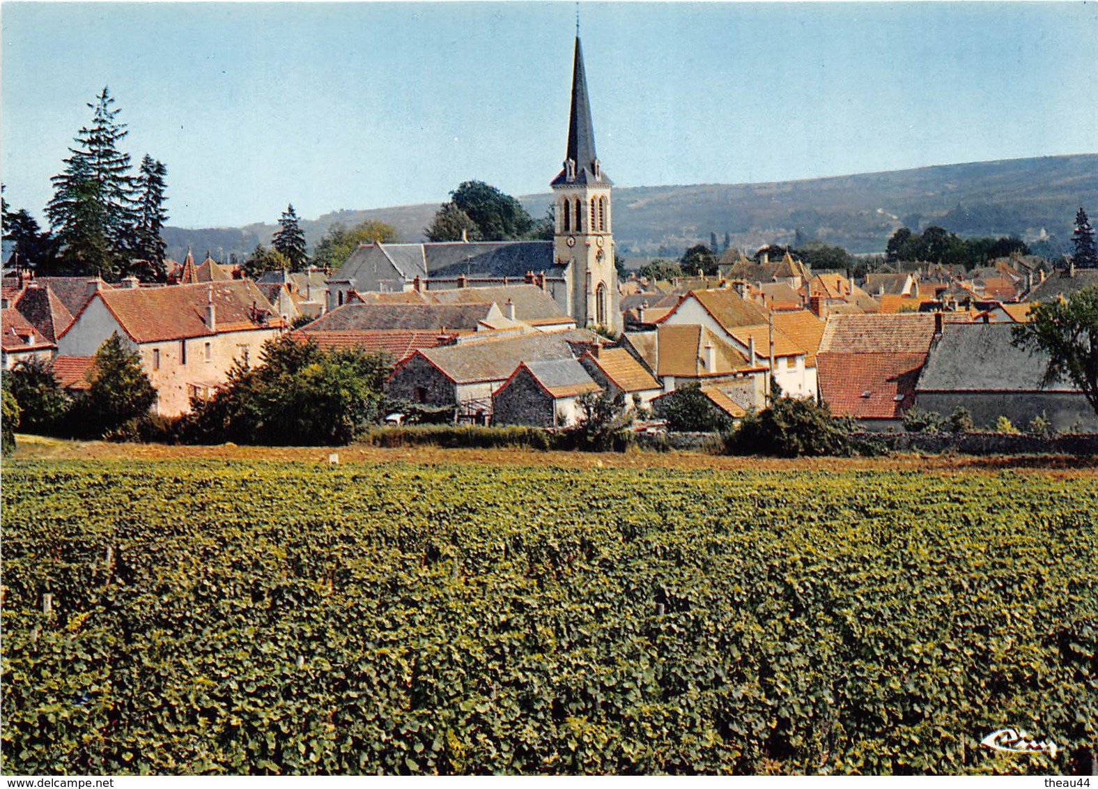 ¤¤   -  SANTENAY   -  Les Vignes    -   ¤¤ - Other & Unclassified