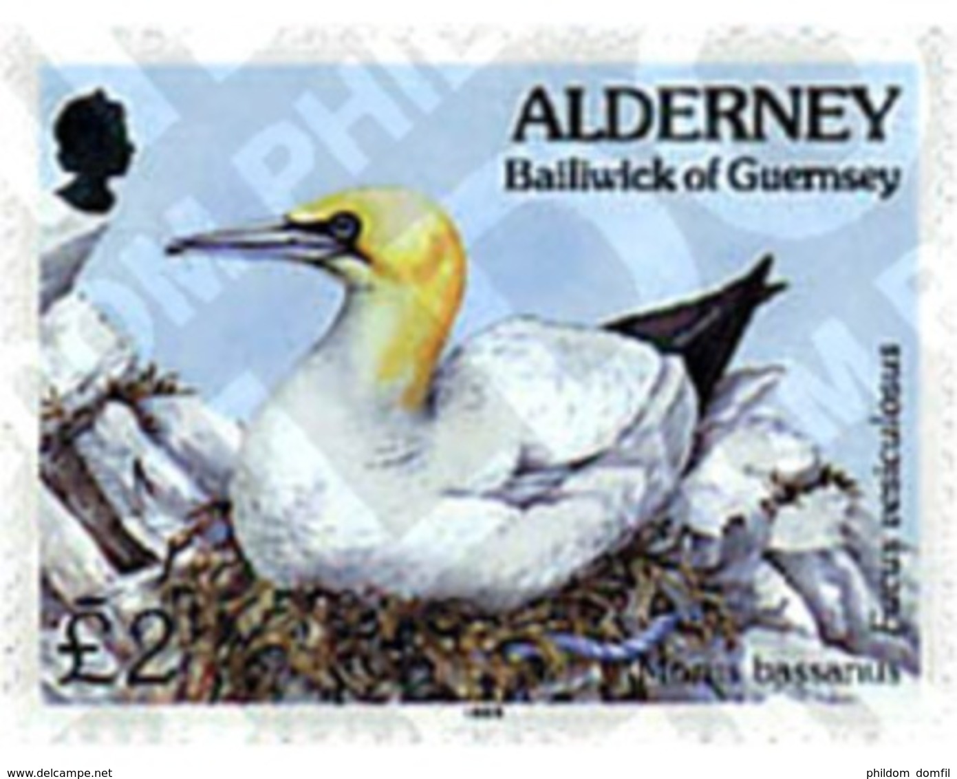 Ref. 66297 * MNH * - ALDERNEY. 1995. FAUNA AND FLORA . FAUNA Y FLORA - Altri & Non Classificati