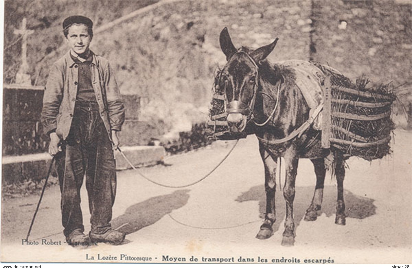 LA LOZERE PITTORESQUE - MOYEN DE TRANSPORT DANS LES ENDROITS ESCARPES (ANE) - Other & Unclassified