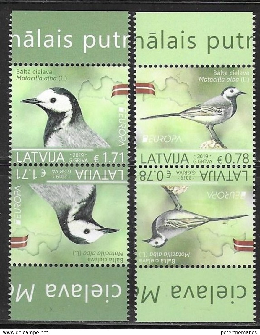 LATVIA, 2019, MNH, EUROPA, BIRDS, TETE BECHE, 4v - 2019