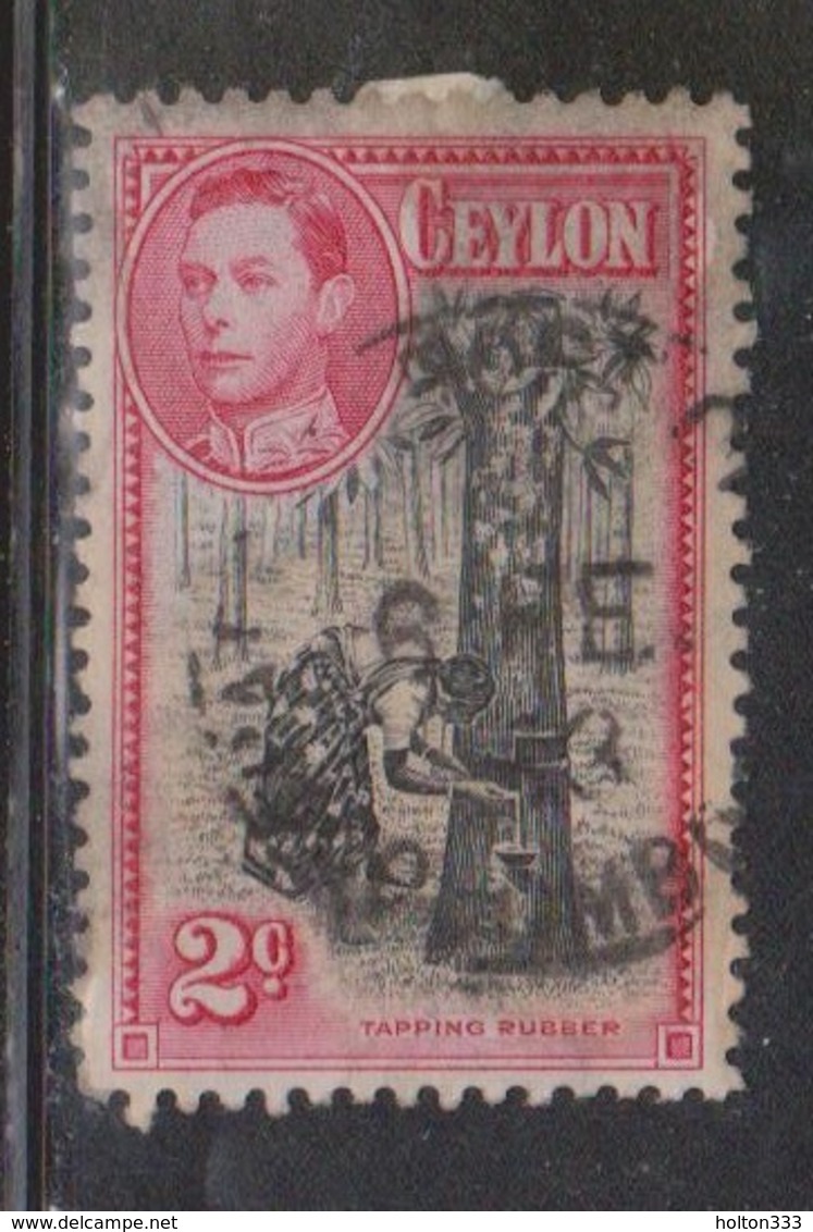 CEYLON Scott # 278c Used Perf 12 X 12 - KGVI & Tapping Rubber - Ceylon (...-1947)