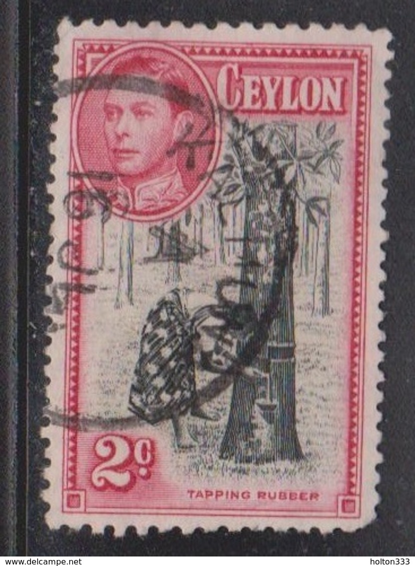 CEYLON Scott # 278d Used Perf 11.5 X 13 - KGVI & Tapping Rubber - Ceylon (...-1947)