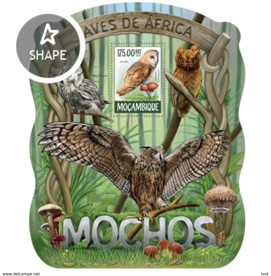 Mozambique, 2015. [moz15222] Birds, Owls (s\s+m\s) - Hiboux & Chouettes