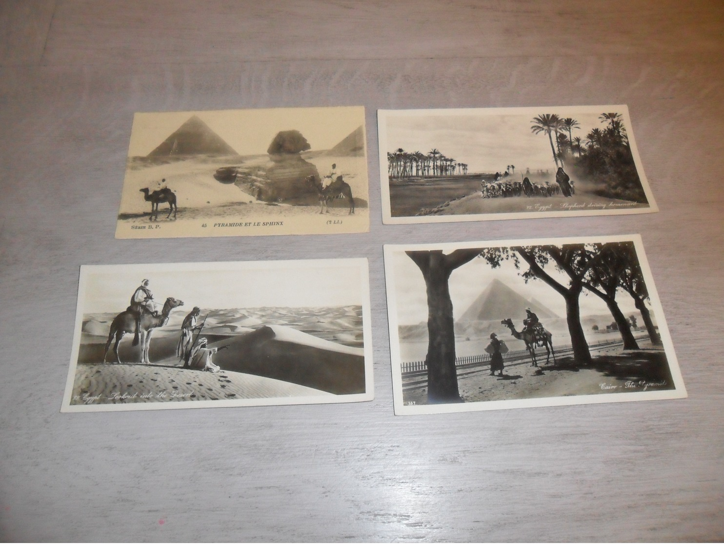 Beau lot de 60 cartes postales d' Afrique  Egypt     Mooi lot van 60 postkaarten van Afrika  Egypte   - 60 scans