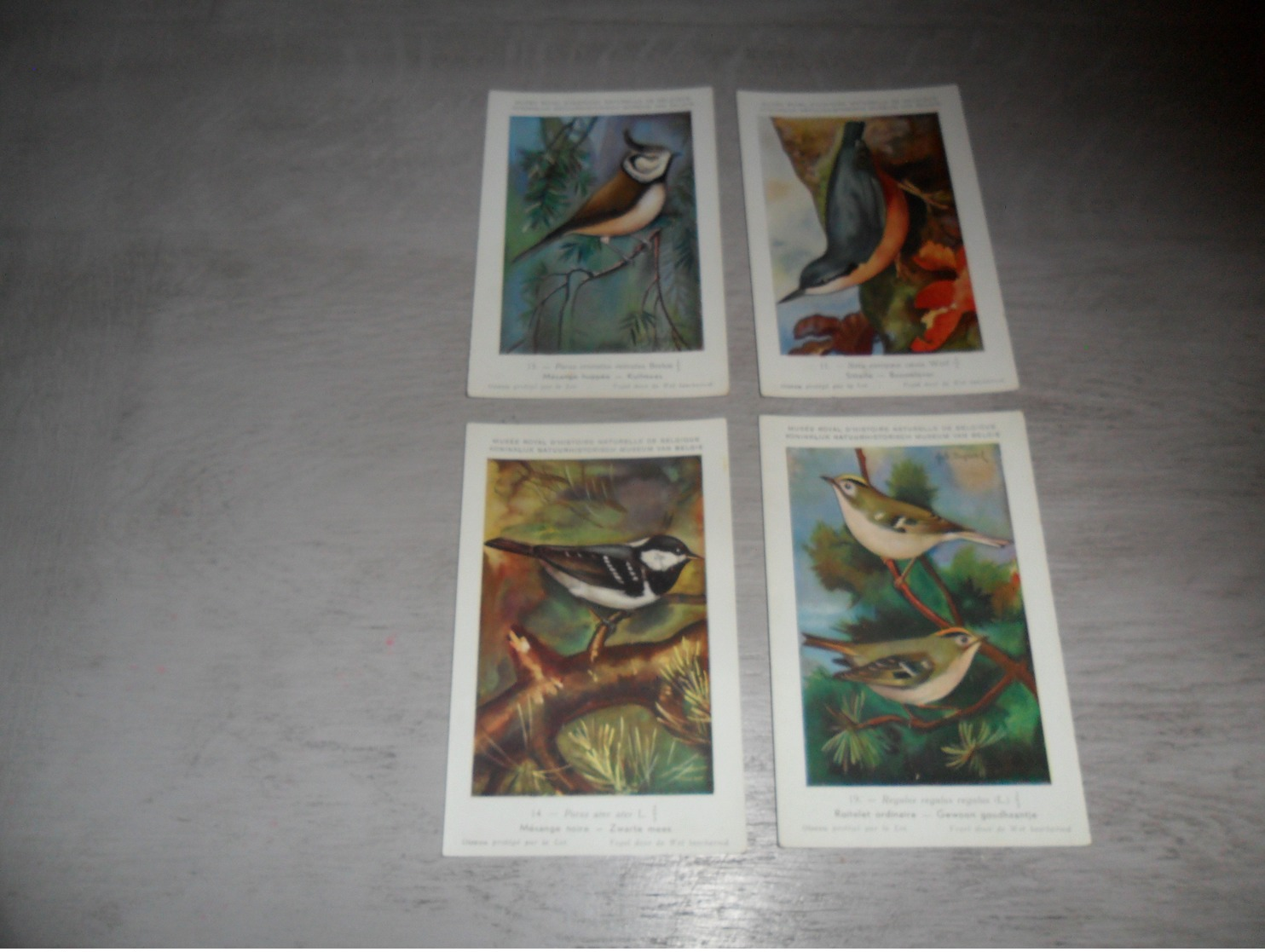 Beau Lot De 20 Cartes Postales Oiseaux  Oiseau  Illustrateur H.Dupond     Mooi Lot Van 20 Postkaarten Van Vogels  Vogel - 5 - 99 Cartes