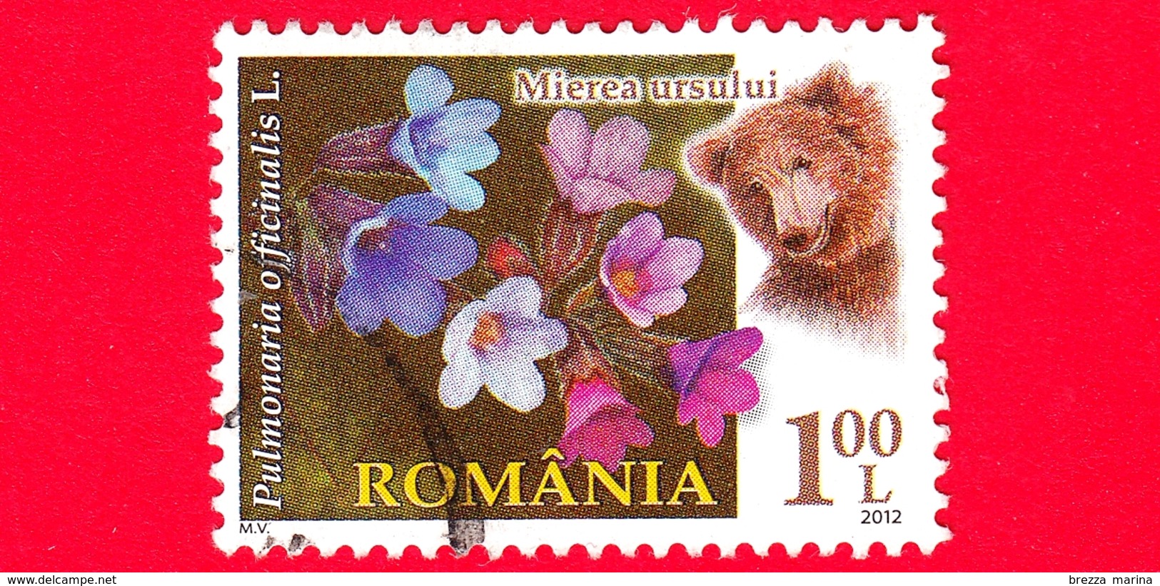 ROMANIA - Usato - 2012 - Flora E Fauna - Fiori - Fleurs - Orso - Pulmonaria Officinalis - 1.00 - Usati
