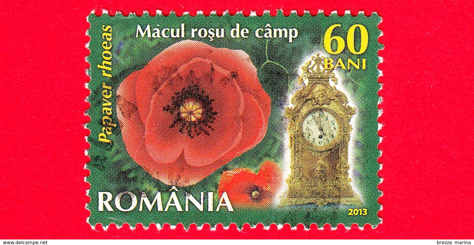 ROMANIA - Usato - 2013 - Fiori - Papaveri (Papaver Rhoeas) - Poppy - Orologio 5 A.m - 60 - Used Stamps