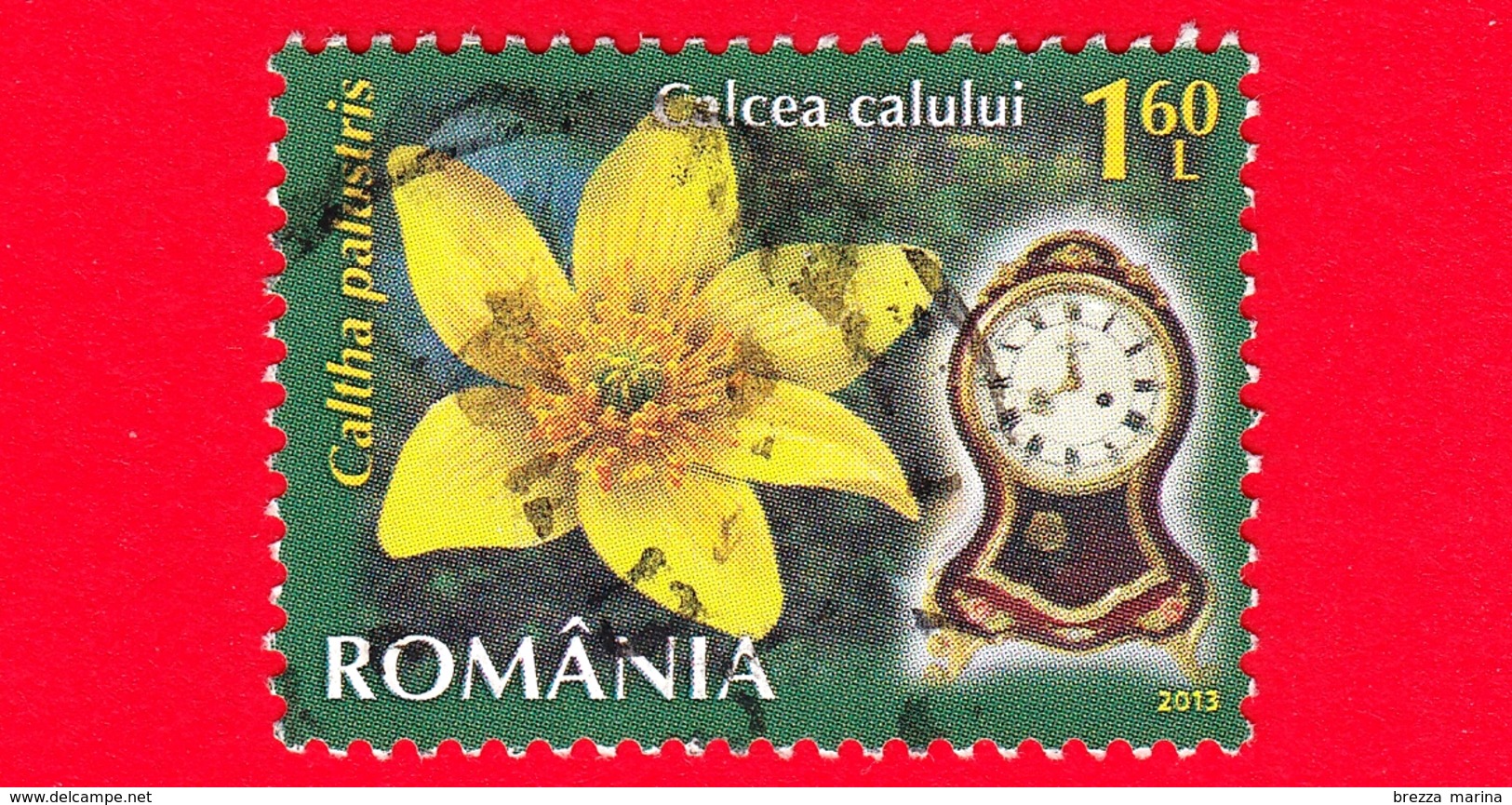 ROMANIA - Usato - 2013 - Fiori - Calta Palustre - Caltha Palustris - Orologio 8 A.m - 1.60 - Used Stamps