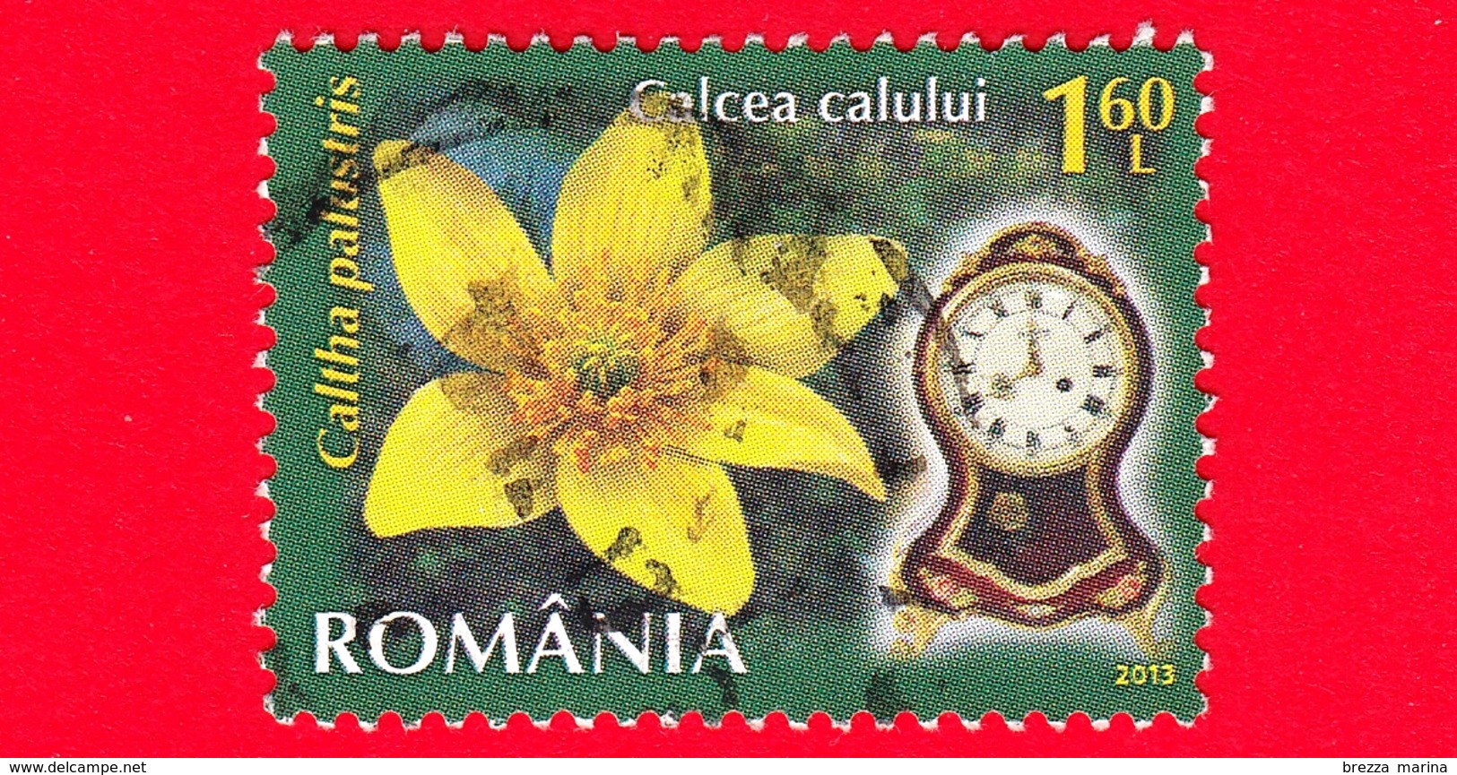 ROMANIA - Usato - 2013 - Fiori - Calta Palustre - Caltha Palustris - Orologio 8 A.m - 1.60 - Usati