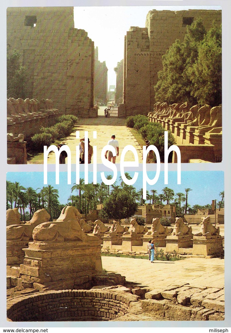 2 C.P. - EGYPTE - KARNAK - Allée Des Sphinx - Temple D'AMON -  (4688) - Autres & Non Classés