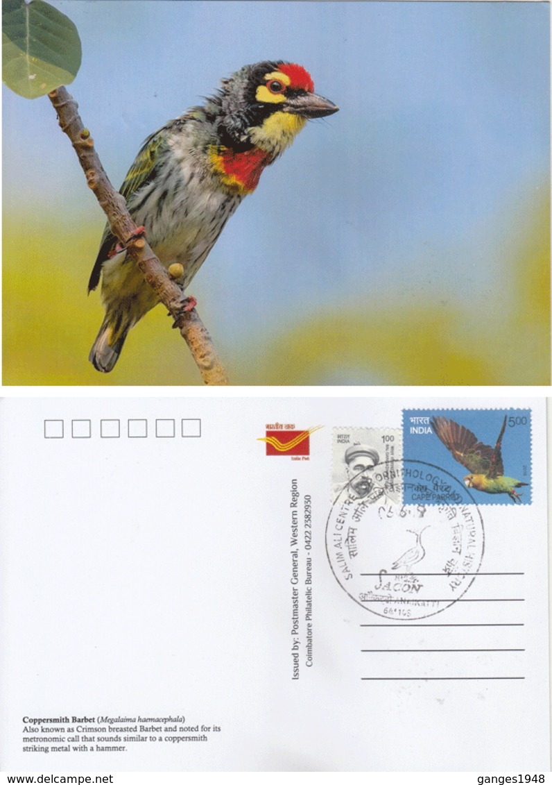 India  2019  Birds  Coppersmith Barbet  Stamp Card  # 20624   D Inde  Indien - Songbirds & Tree Dwellers