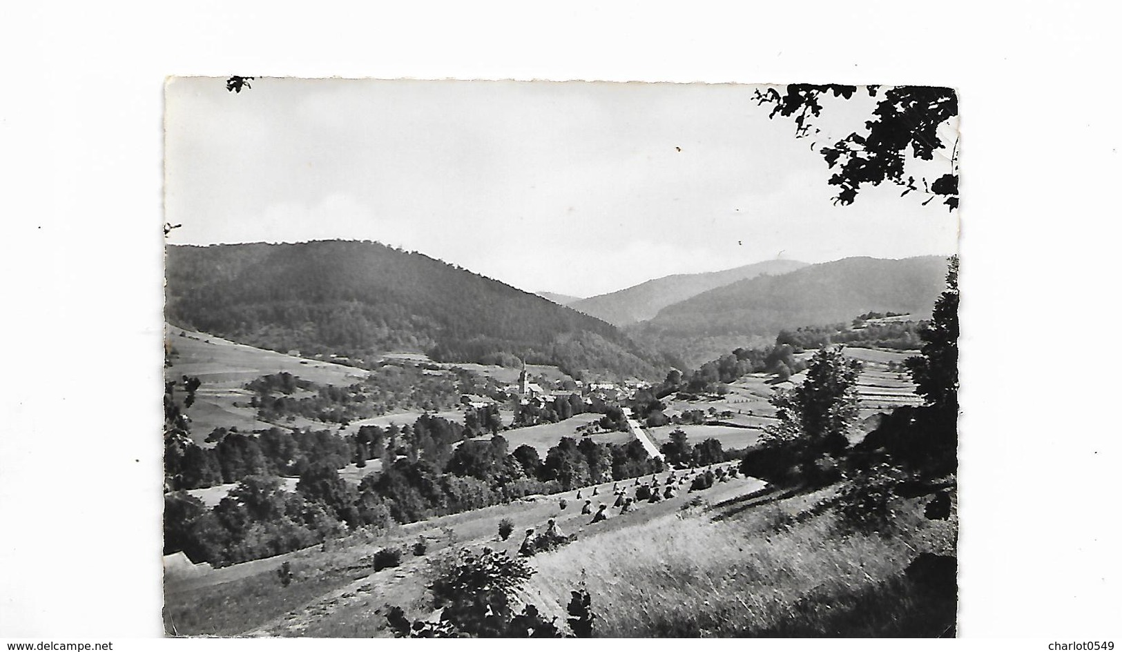 Wisembach Vue Sur Le Col De Ste Marie - Autres & Non Classés