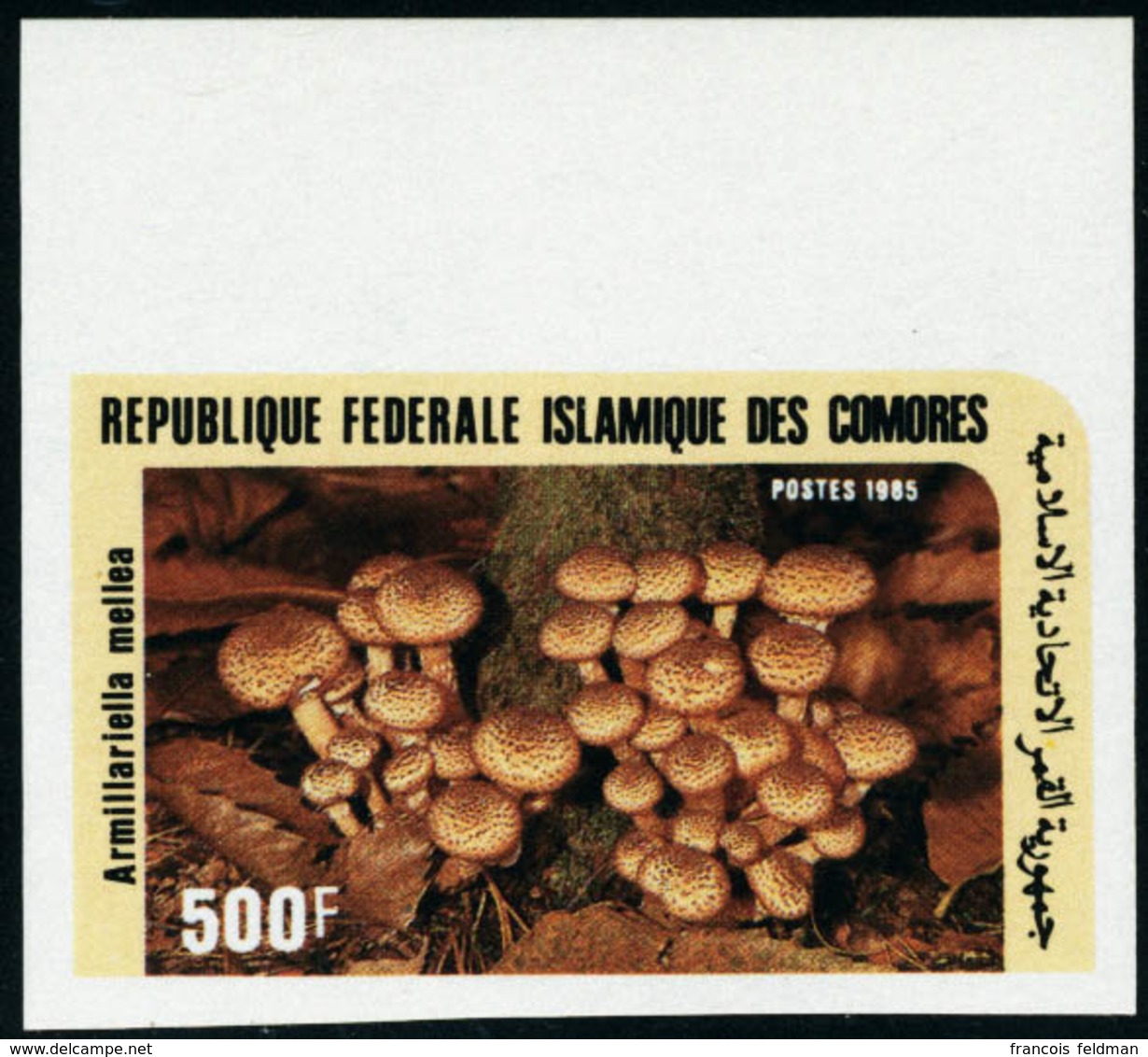 Neuf Sans Charnière N° 435/39, La Série Complète Champignons Non Dentelée + La Même En 5 Blocs Non Dentelés Gommés, Supe - Sonstige & Ohne Zuordnung