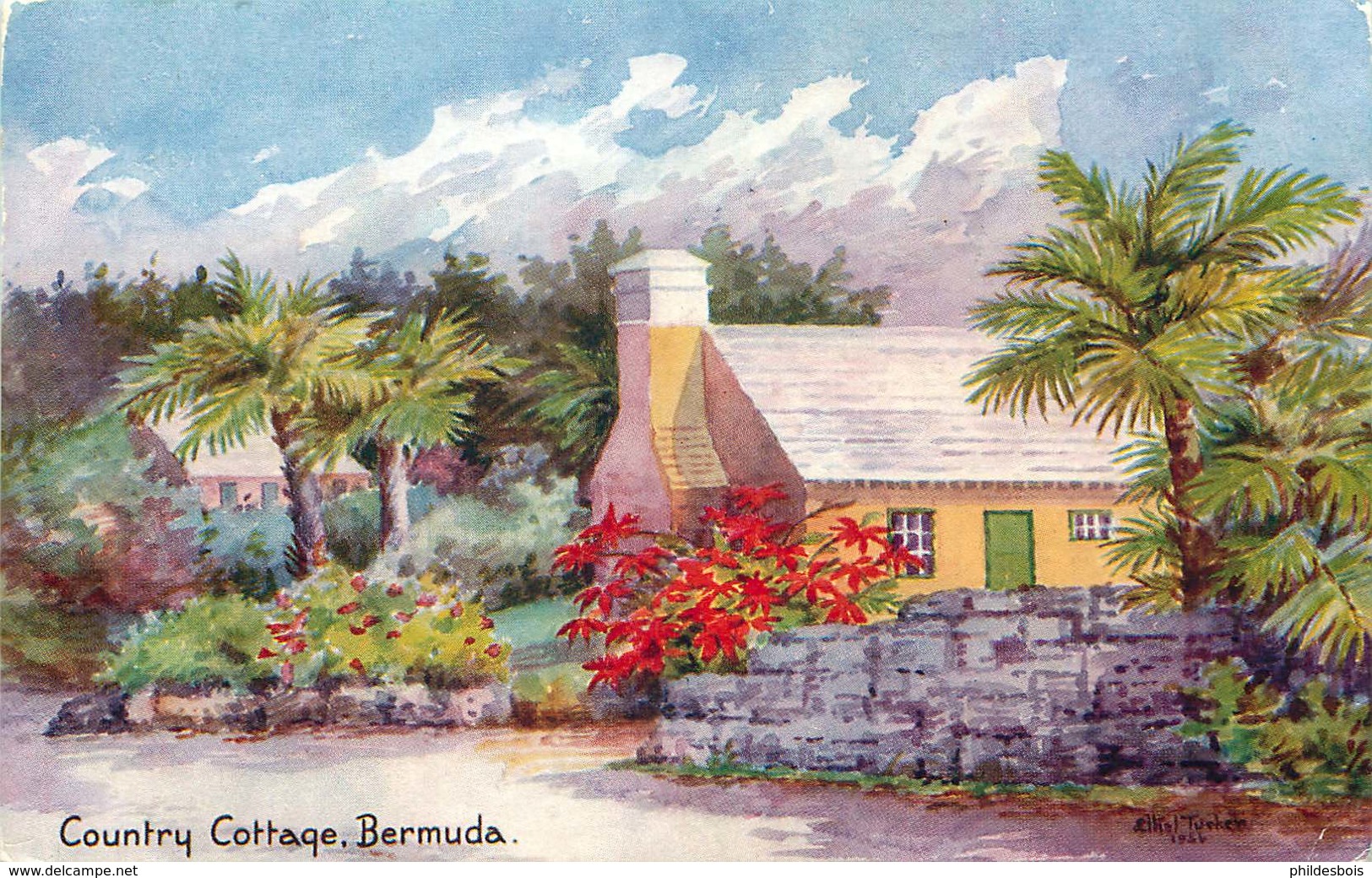 CARAIBES  BERMUDES  Country Bermuda - Otros & Sin Clasificación
