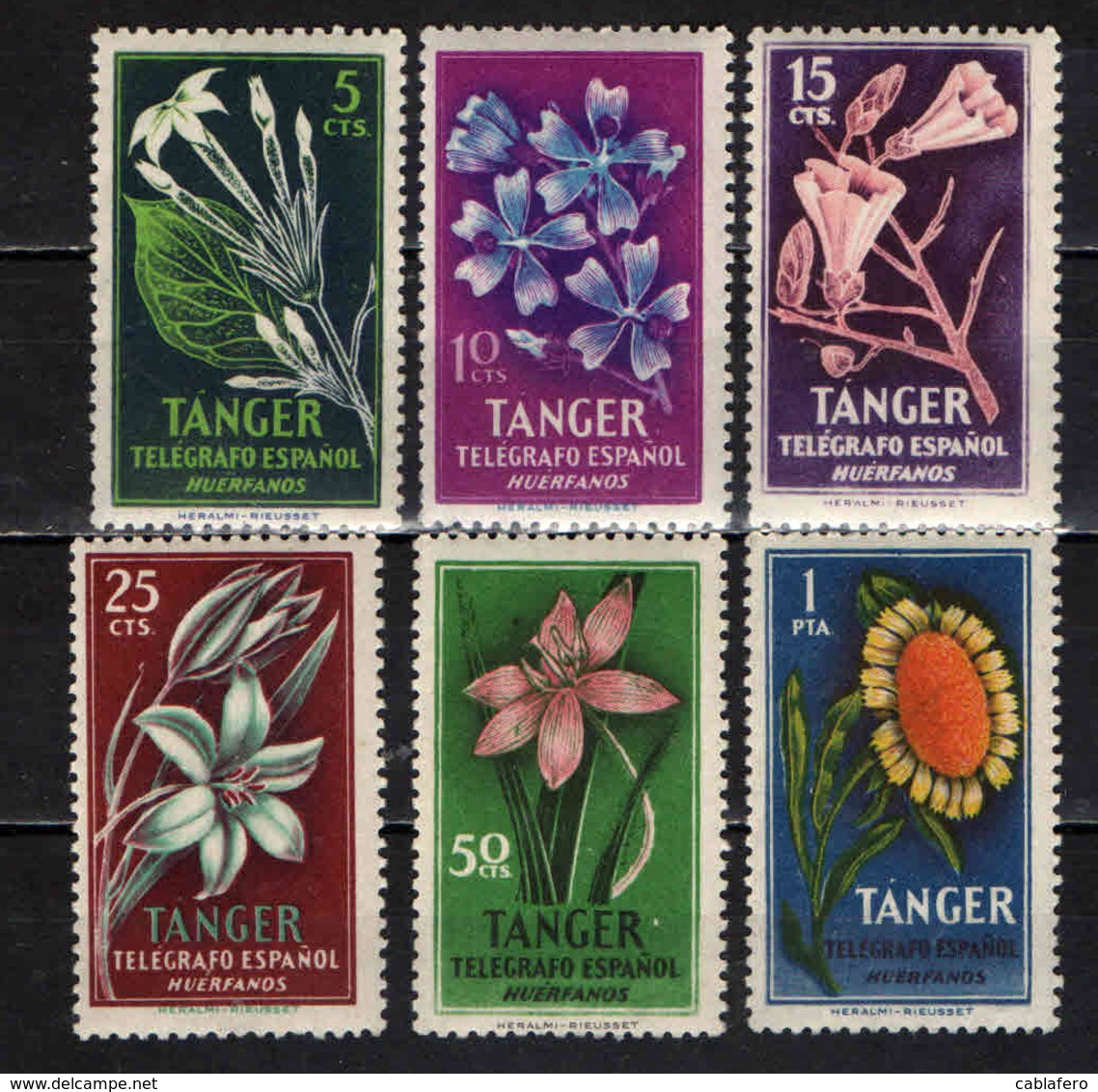 MAROCCO SPAGNOLO -  TANGER - FLORA - MNH - Marocco Spagnolo