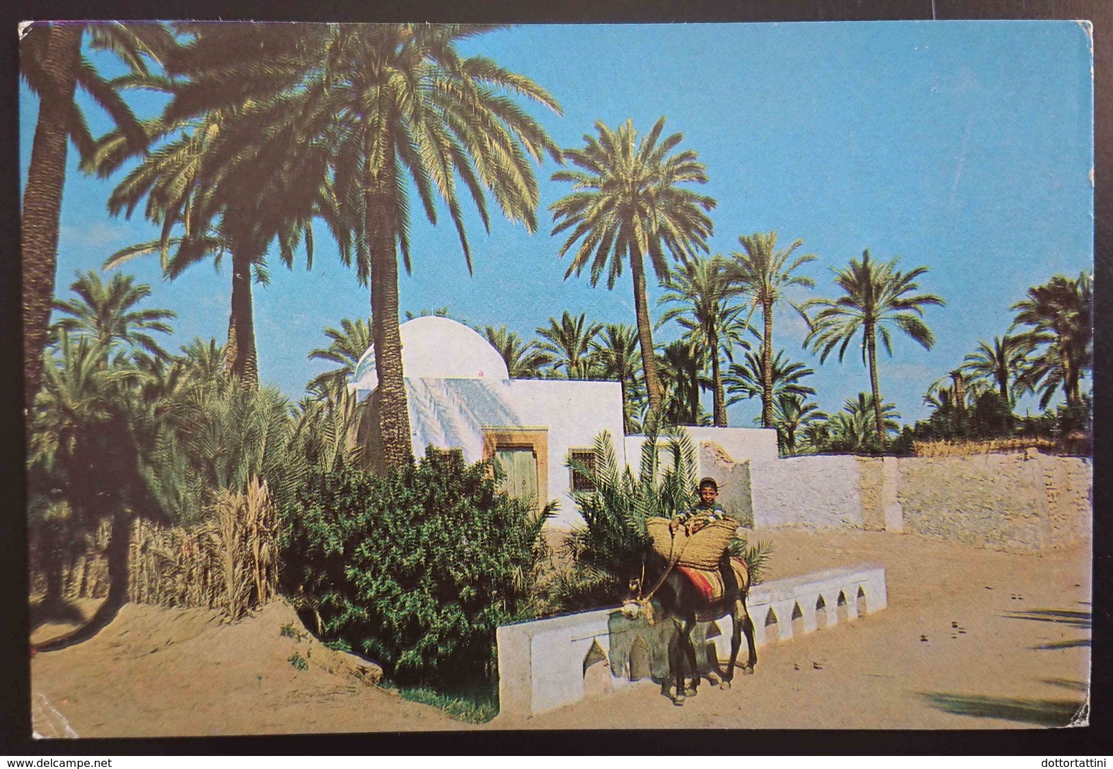 GABES - TUNISIE - L'OASIS     Vg - Tunisia