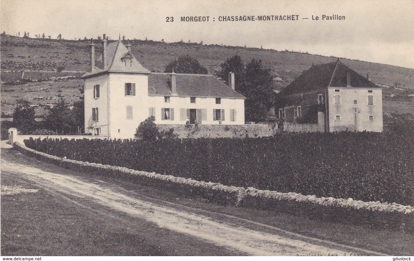 Côte-d'Or - Morgeot - Chassagne-Montrachet - Le Pavillon - Autres & Non Classés