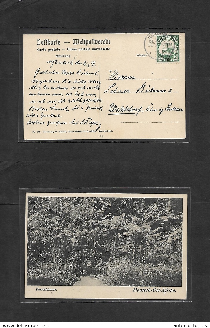 German Col-East Africa. 1909 (9 Dec) NGARAIA, KOROGWE - Walldorf, Sachen, Germany. Fkd Ppc 4h Green, Cds. Fine Origin. F - Other & Unclassified