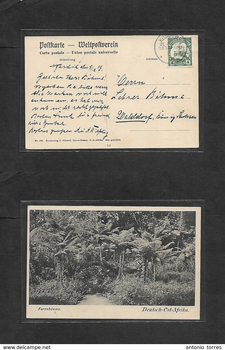 German Col-East Africa. 1909 (9 Dec) NGARAIA, KOROGWE - Walldorf, Sachen, Germany. Fkd Ppc 4h Green, Cds. Fine Origin. F - Andere & Zonder Classificatie