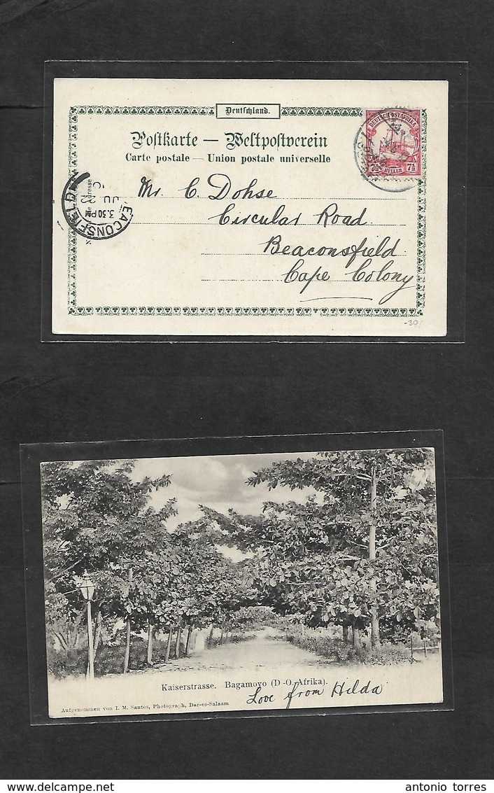 German Col-East Africa. 1910 (4 June) DES - South Africa, Beaconsfield (22 June) Bagamoyo Ppc Fkd 7 1/2c Red, Cds + Arri - Other & Unclassified