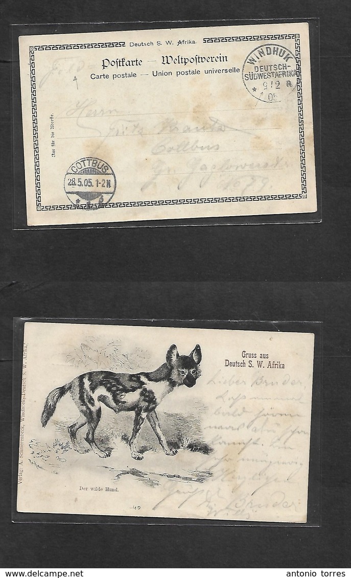 German Col-Swa. 1905 (2 May) Date Inverted. Feldpost. Gruss Aus Wild Hund Circulated To Germany, Cottbus (28 May) Very R - Autres & Non Classés