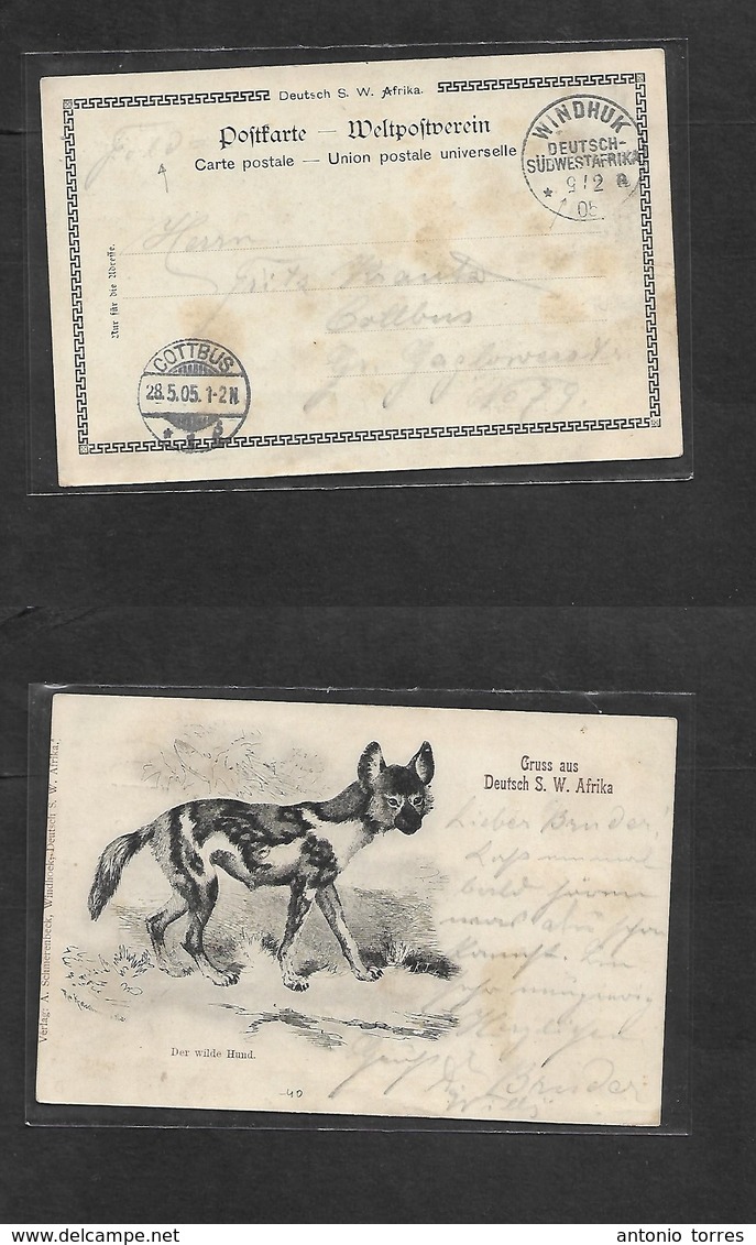 German Col-Swa. 1905 (2 May) Date Inverted. Feldpost. Gruss Aus Wild Hund Circulated To Germany, Cottbus (28 May) Very R - Andere & Zonder Classificatie