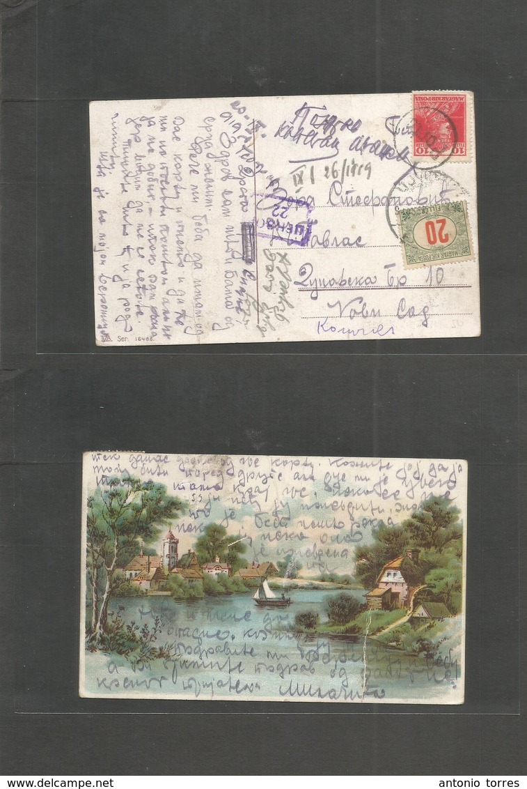 Hungary. 1919 (20 Sept) Fkd + Taxed Mail To Zynabecka. Aux Pmks + P. Due. - Autres & Non Classés