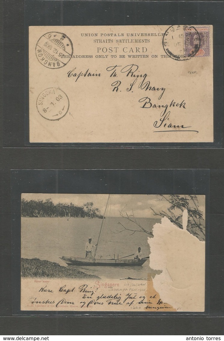 Straits Settlements Singapore. 1902 (Dec 20) Singapore - Siam, Bangkok (25 Dec) - And SINGORA (8 Jan) At Malaya - Thai P - Singapur (1959-...)