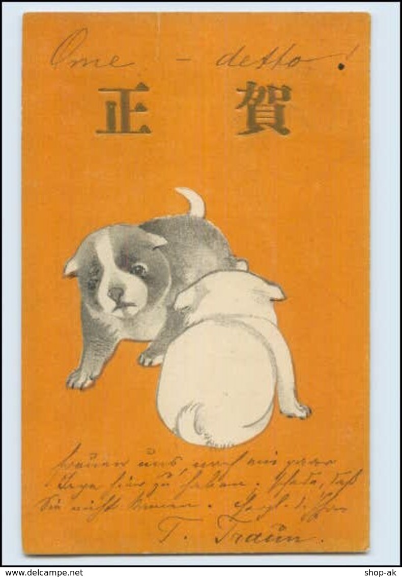 Y3587/ Japan Künstler AK Hunde 1910 - Autres & Non Classés