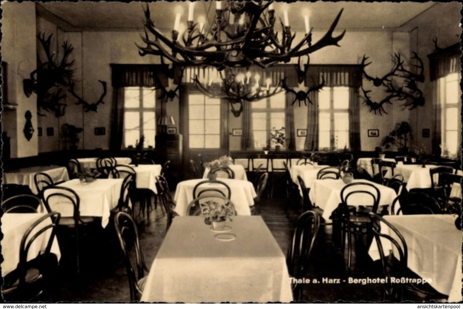 Cp Thale Im Harz, Berghotel Roßtrappe, Speisesaal, Hirschgeweihe - Altri & Non Classificati