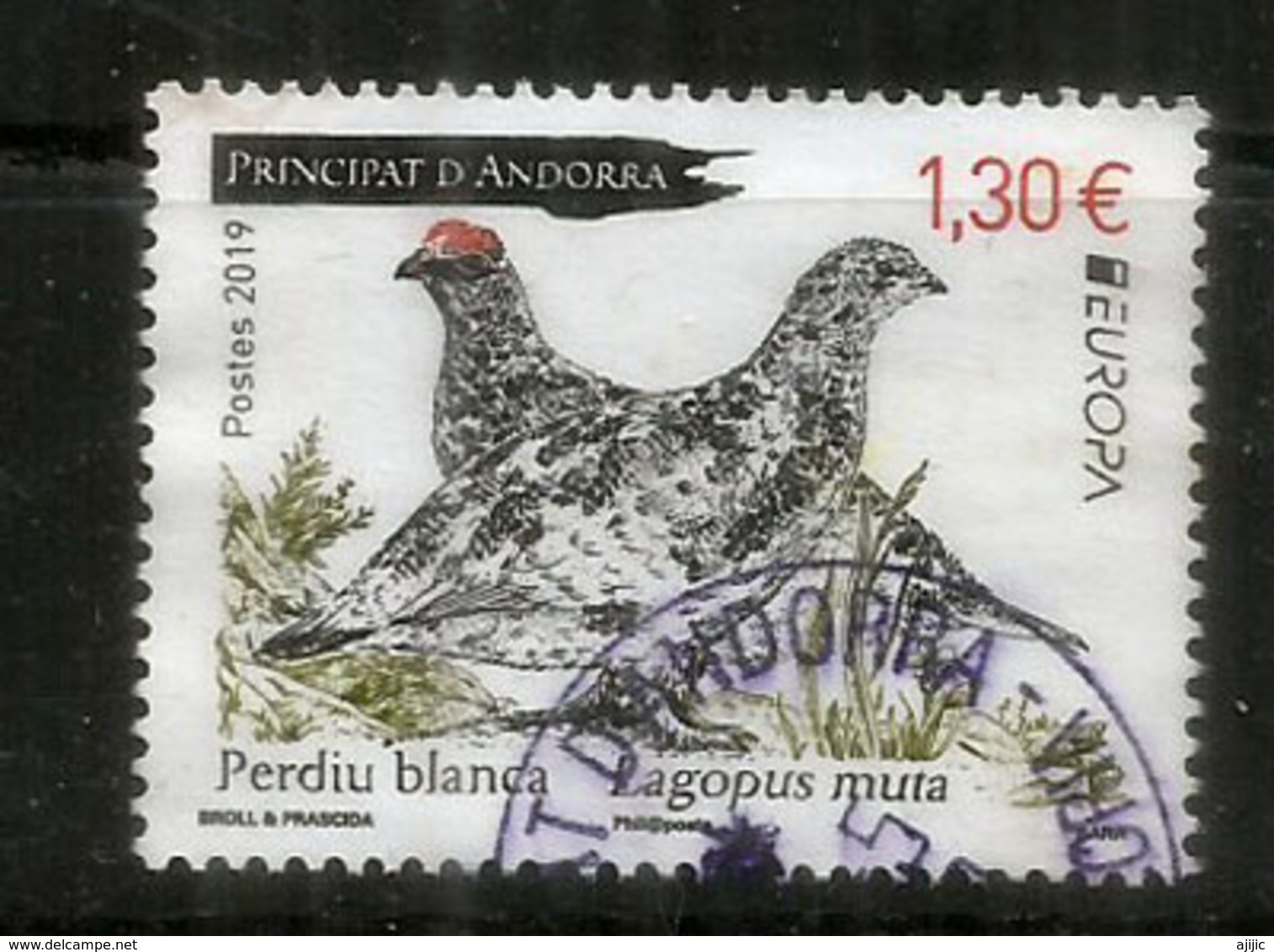 ANDORRA.  La Perdrix Des Neiges.(perdiz Nival) Europa 2019 ,   Oblitéré, 1 ère Qualité - Used Stamps