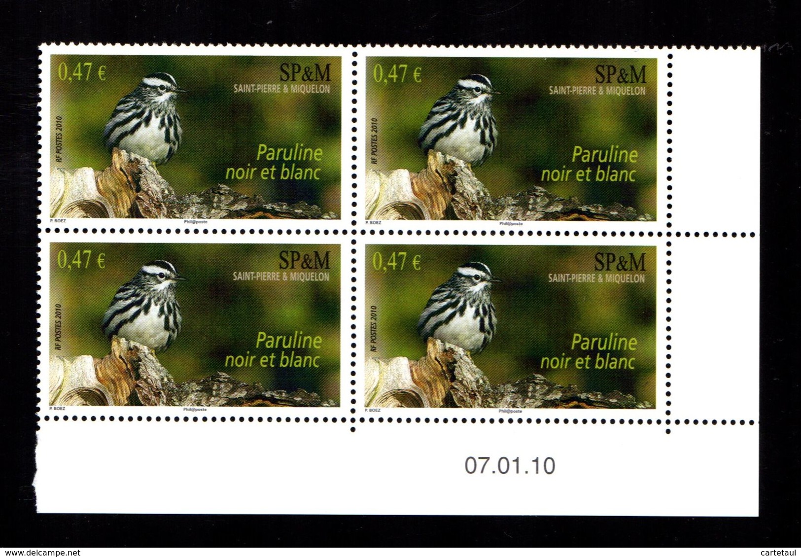SAINT PIERRE MIQUELON  Oiseau Puraline Bloc De 4 Coin Daté 07.01.10  Gomme Intacte ** LUXE** - Unused Stamps