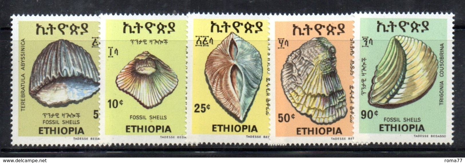 ETP208A - ETIOPIA 1977 ,  Yvert  N. 849/853 *** MNH CONCHIGLIE - Etiopia