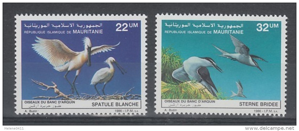 PAIRE NEUVE DE MAURITANIE - OISEAUX DE BUZIN : SPATULES BLANCHES ET STERNES BRIDEES N° Y&T 590/591 - Autres & Non Classés